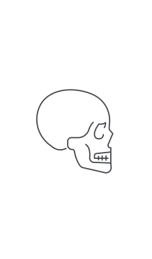 images/categorieimages/skull5-tekengebied-1.jpg