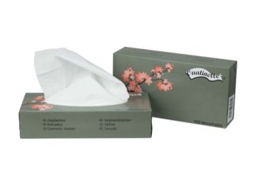 Mouchoirs ouatinelle carton (40 x 100 pcs)