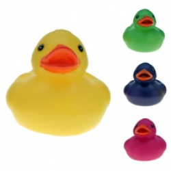 Canard couleurs 24 pcs