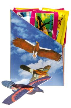 Kit de construction d'oiseaux planeurs 48 pcs