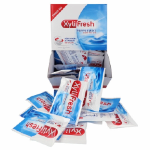 Xylifresh menthe refill 90 x 2 pc