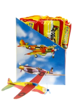 Avion Styrofoam 48 pcs