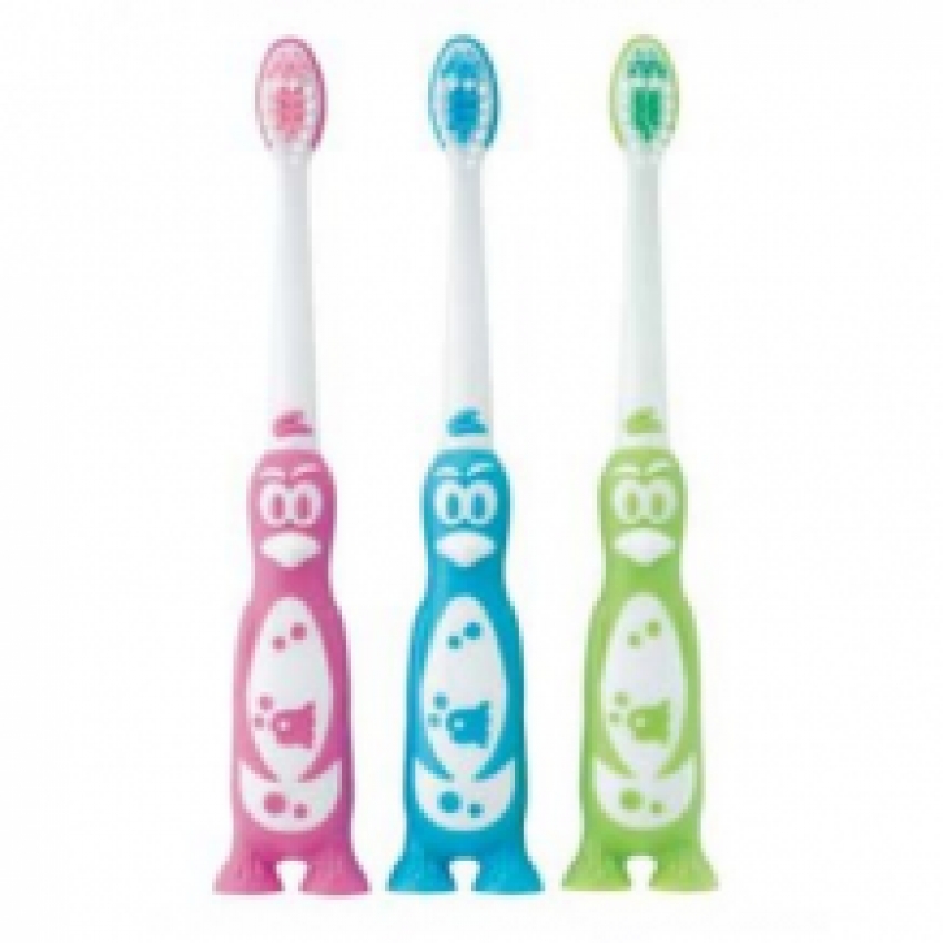 Brosse à dents pour enfants pingouin 48 pcs
