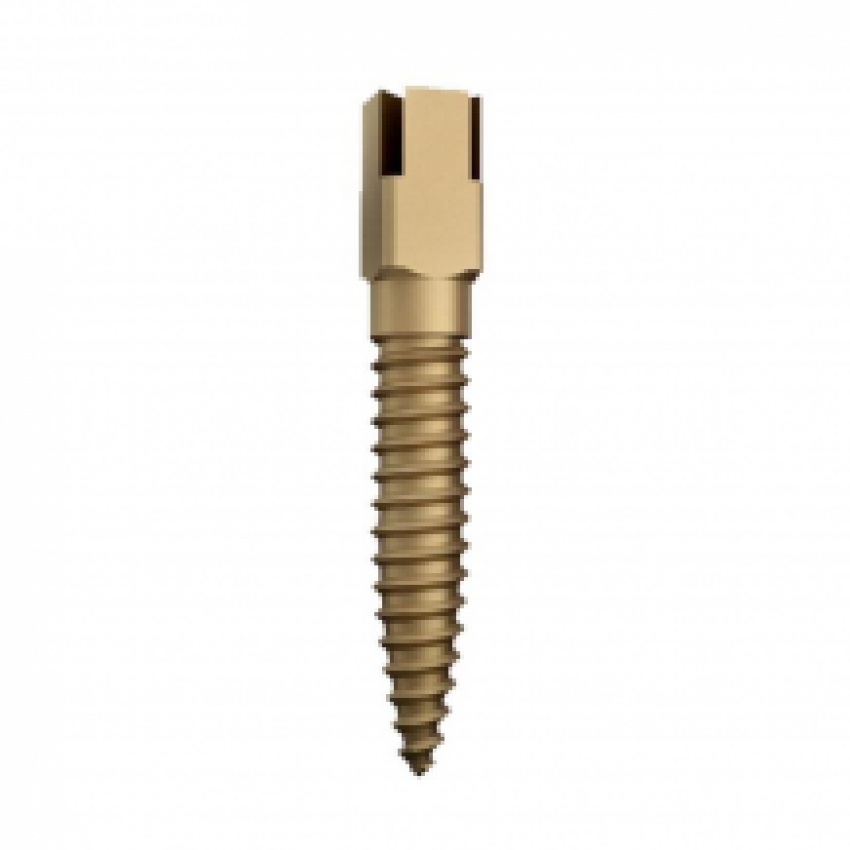 Screw Posts Medium 3 - 12 pcs