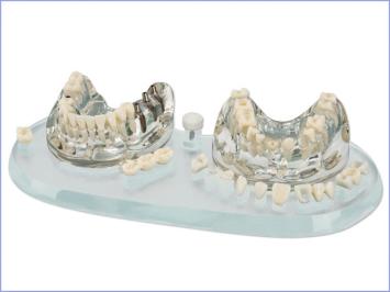 Modèles de démonstration transparent des implantations Hager Works